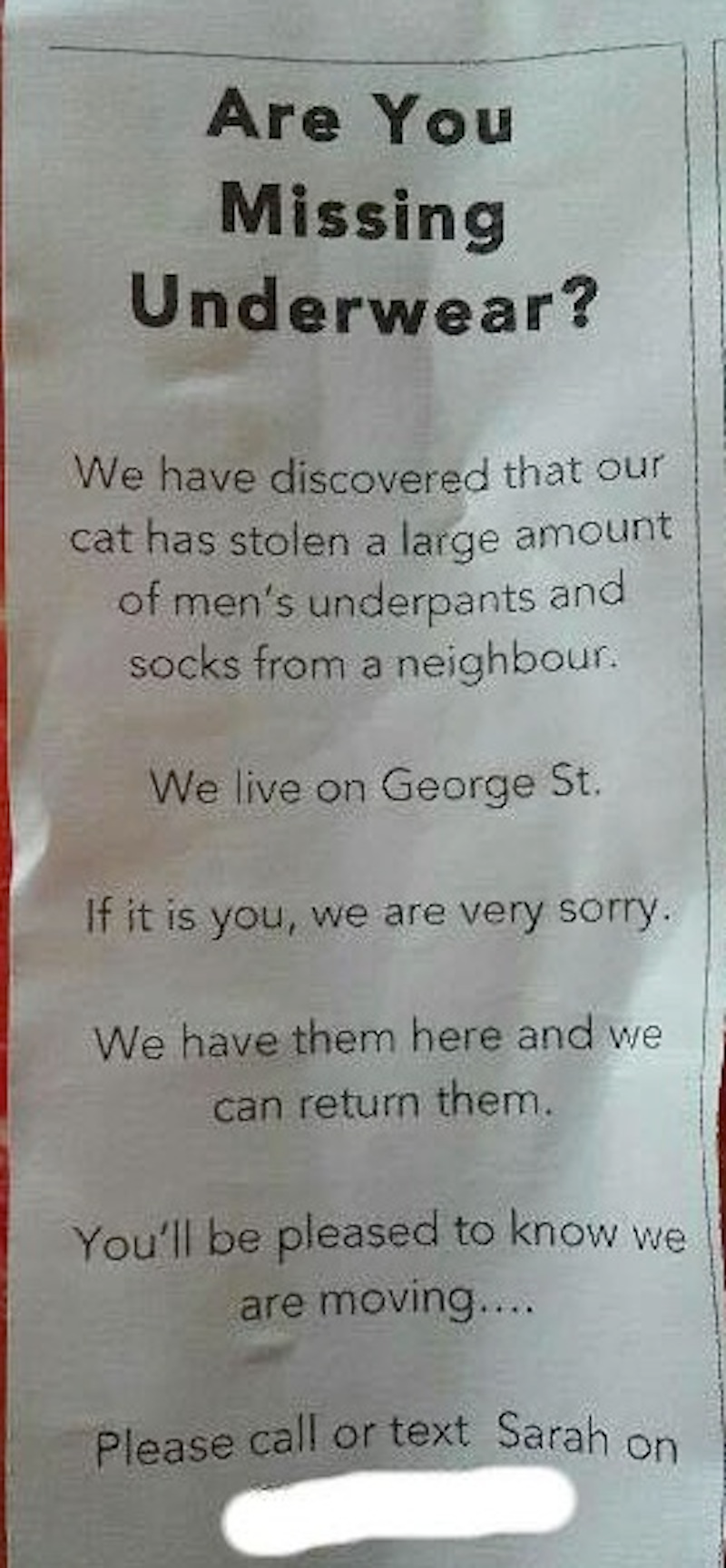 Illustration for article titled Saturday Night Social: Hosted by the Cat that Steals Vulnerable Men's Undies